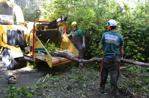 tree services Bonifay